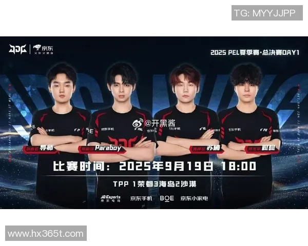 和平精英战队JDG的团队协作与战术配合深度分析与探讨MBA