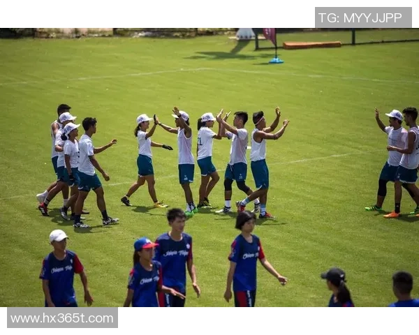 飞盘战术解析:杭州飞盘队如何构建高效快攻体系与战术配合MBA