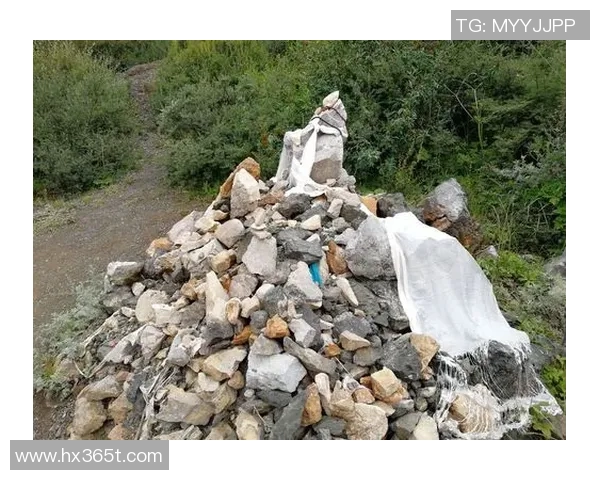 李泓澎的艺术旅程与人生哲学探索:从创作到心灵的深度对话 李泓澎的艺术旅程与人生哲学探索:从创作到心灵的深度对话