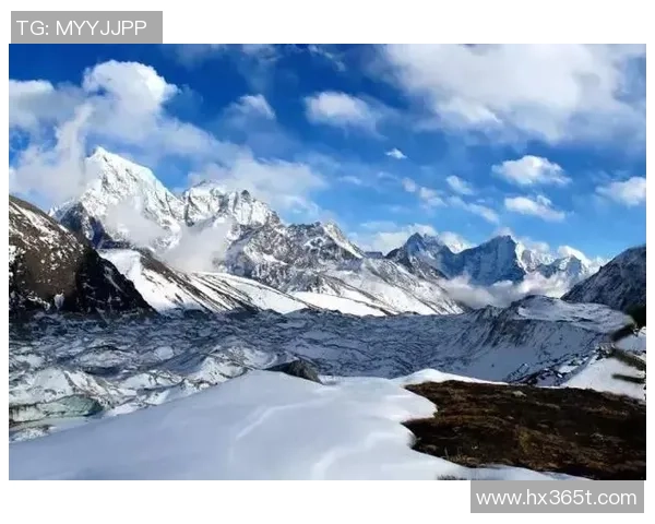 极限运动战术解析：武汉极限运动队的全方位压制与协同作战体系探讨MBA