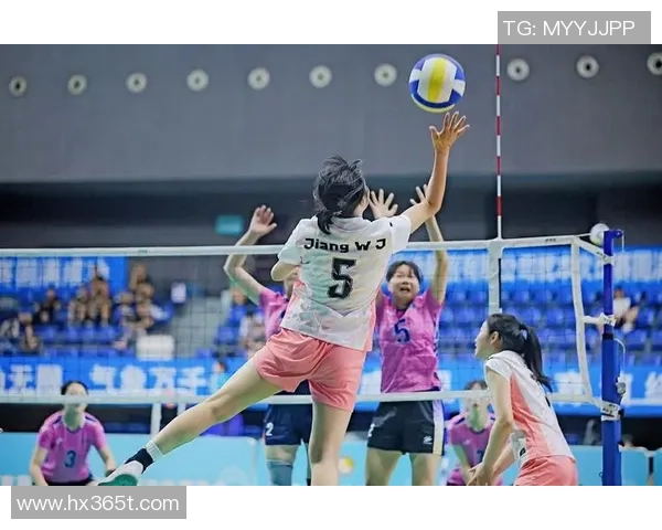 成都排球队的奋斗历程与洲际杯荣耀之路全景回顾