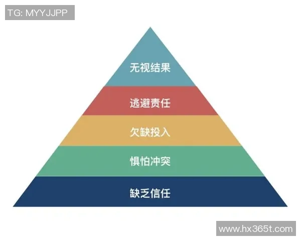 上海排球队的团队协作精神与战术配合探讨